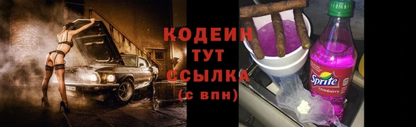 хмурый Алексин
