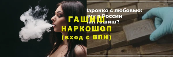 хмурый Алексин