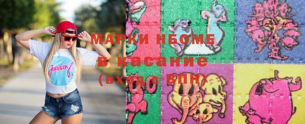хмурый Алексин