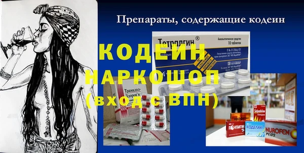 хмурый Алексин