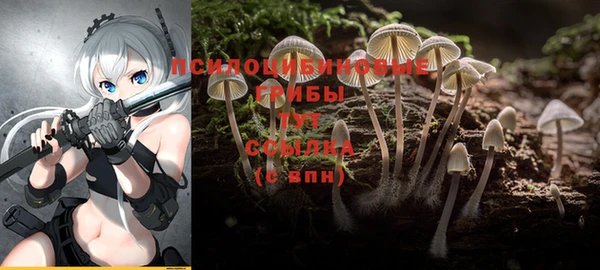 jwh Алзамай