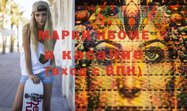 хмурый Алексин