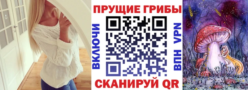 закладка  мега онион  Псилоцибиновые грибы Cubensis  Южно-Сахалинск 